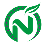 NO0T emblem