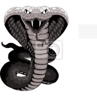 FTBCZ emblem