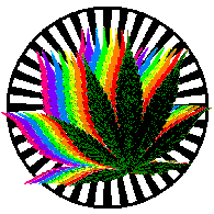 LISCE emblem