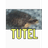 TTDCZ emblem