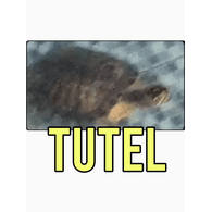 TTDCZ emblem
