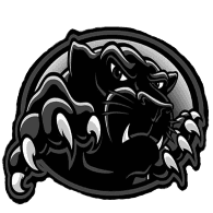 NVDIA emblem