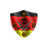 NDSFS emblem