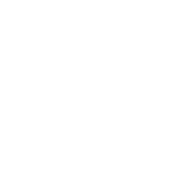 SMER4 emblem