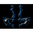 LK_SR emblem