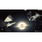 INT_R emblem