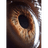 SZOOG emblem