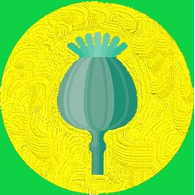 _P_G emblem