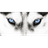 FEUST emblem