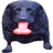 PINIS emblem