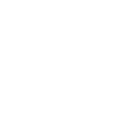 WHOIS emblem