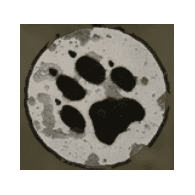 FIPS emblem