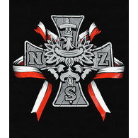 -TCS emblem