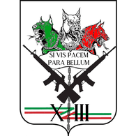 13ITA emblem