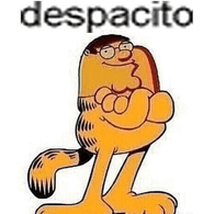 DESPA emblem