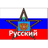 IRUS emblem