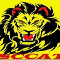 SCCAT emblem