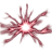 CSTAT emblem