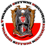 T-S-N emblem