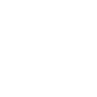 FRMS emblem