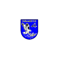 173ER emblem