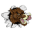 VVSA emblem