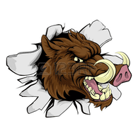 VVSA emblem