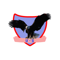 U__S emblem