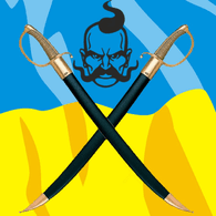 CTAPI emblem
