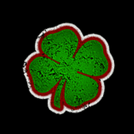 _NAGY emblem