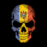 MOLDA emblem