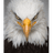 -C_O- emblem