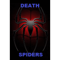 D-_-S emblem