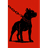 PIT_ emblem