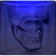 GDS-4 emblem