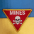 DS_NS emblem