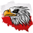 3-P4K emblem