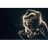 D___M emblem