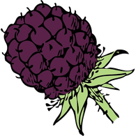 B3RRY emblem