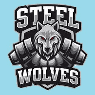 ST_WO emblem
