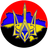 ARMUA emblem
