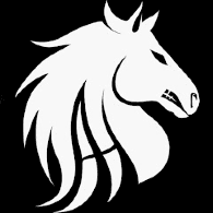 JCZSK emblem