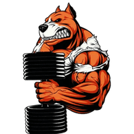 BP-V emblem
