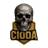 CIODA emblem
