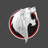 USPA emblem