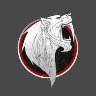 USPA emblem