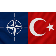 NATO9 emblem