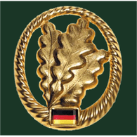 JG371 emblem