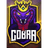 C3BRA emblem