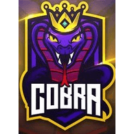 C3BRA emblem